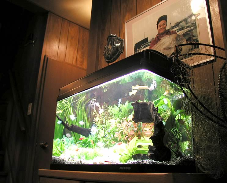 �l�c�ƌ��ւ̗l�q