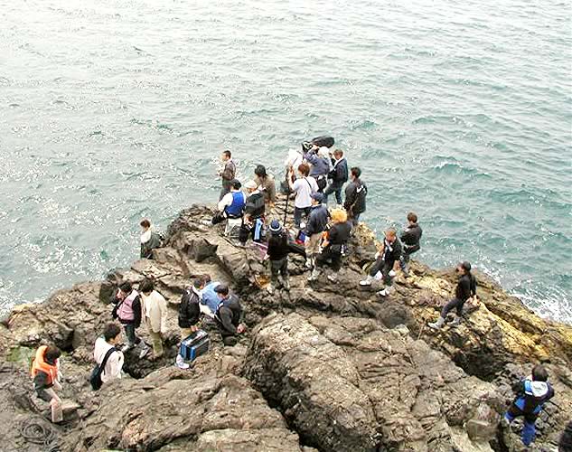 �j�������单��